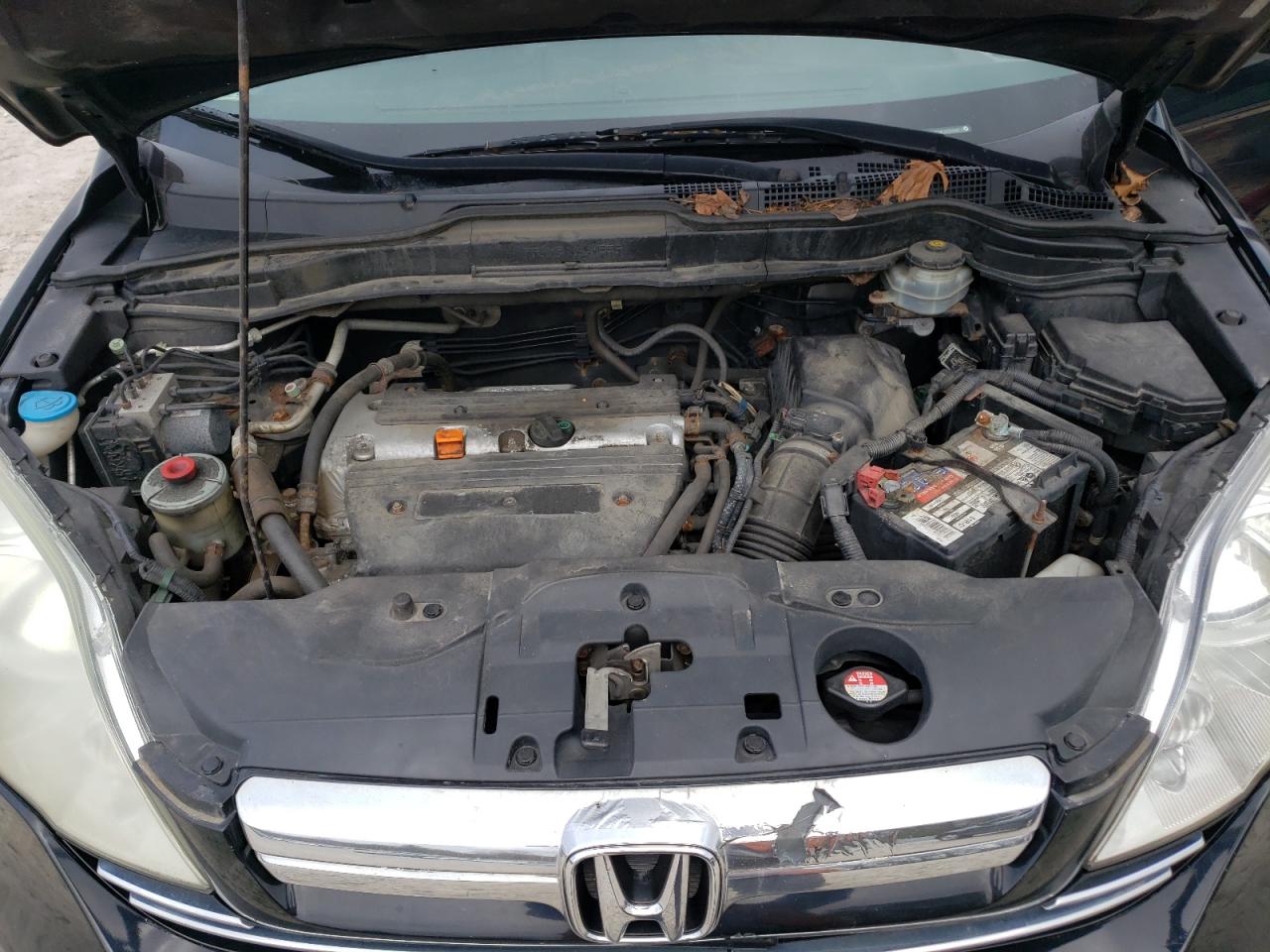 2008 Honda Cr-V Exl VIN: 5J6RE48768L035292 Lot: 51187274