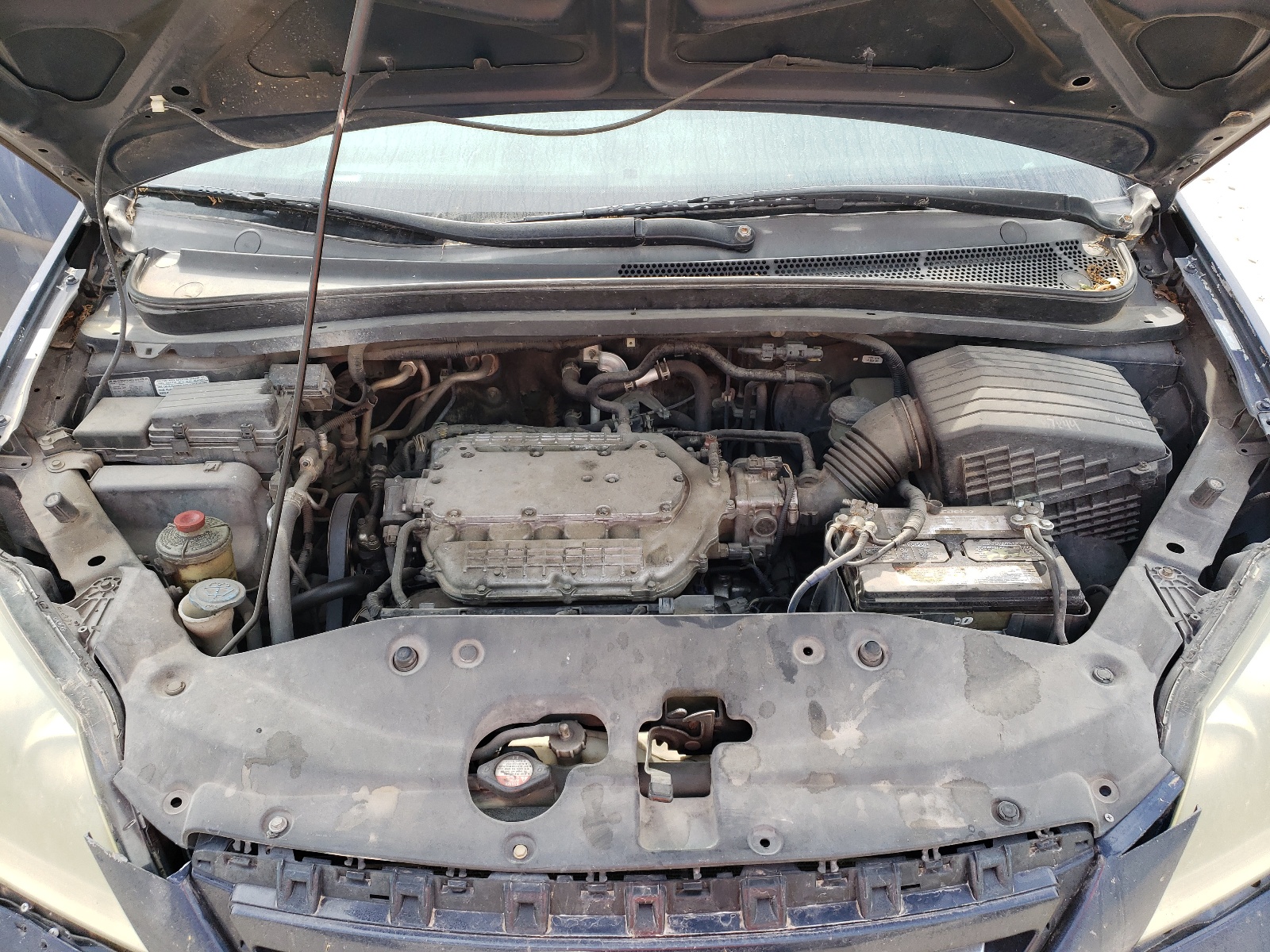 5FNRL38616B097521 2006 Honda Odyssey Exl