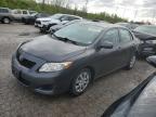 2010 Toyota Corolla Base en Venta en Cahokia Heights, IL - Hail