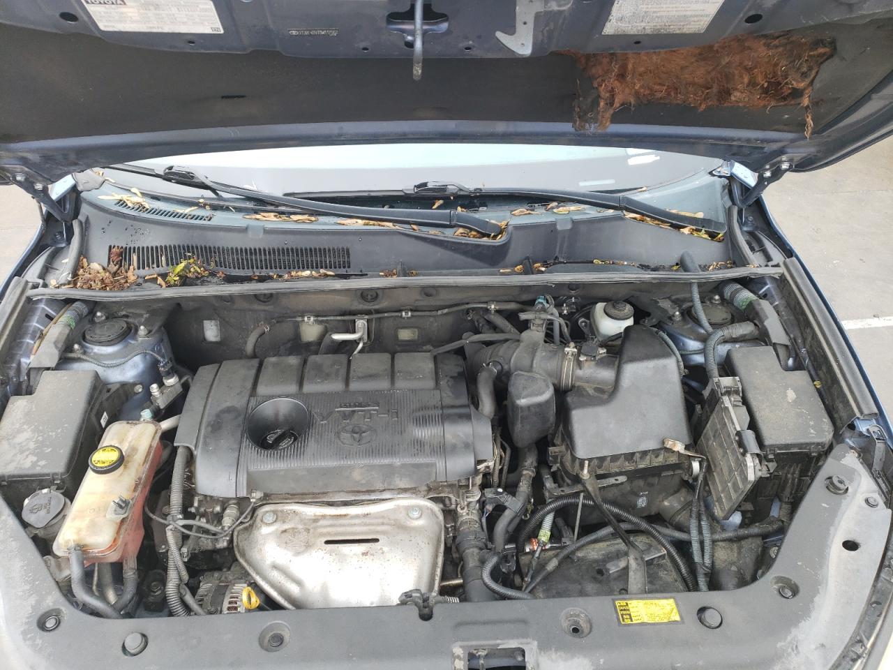 2011 Toyota Rav4 VIN: 2T3BF4DV7BW117562 Lot: 50308194