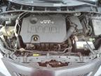 2010 Toyota Corolla Base en Venta en Cahokia Heights, IL - Hail