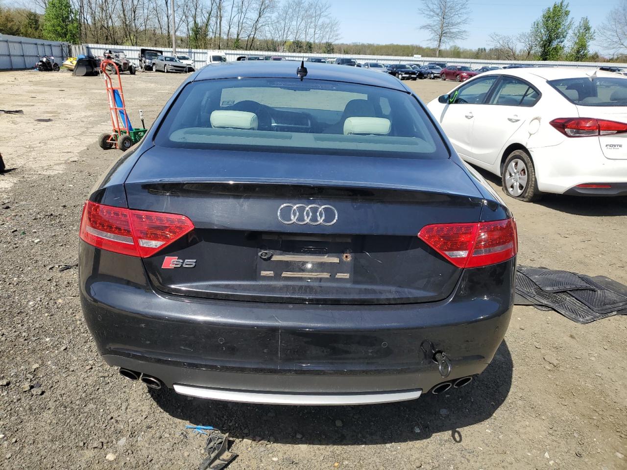 2010 Audi S5 Premium Plus VIN: WAUCVAFR2AA056556 Lot: 51258254