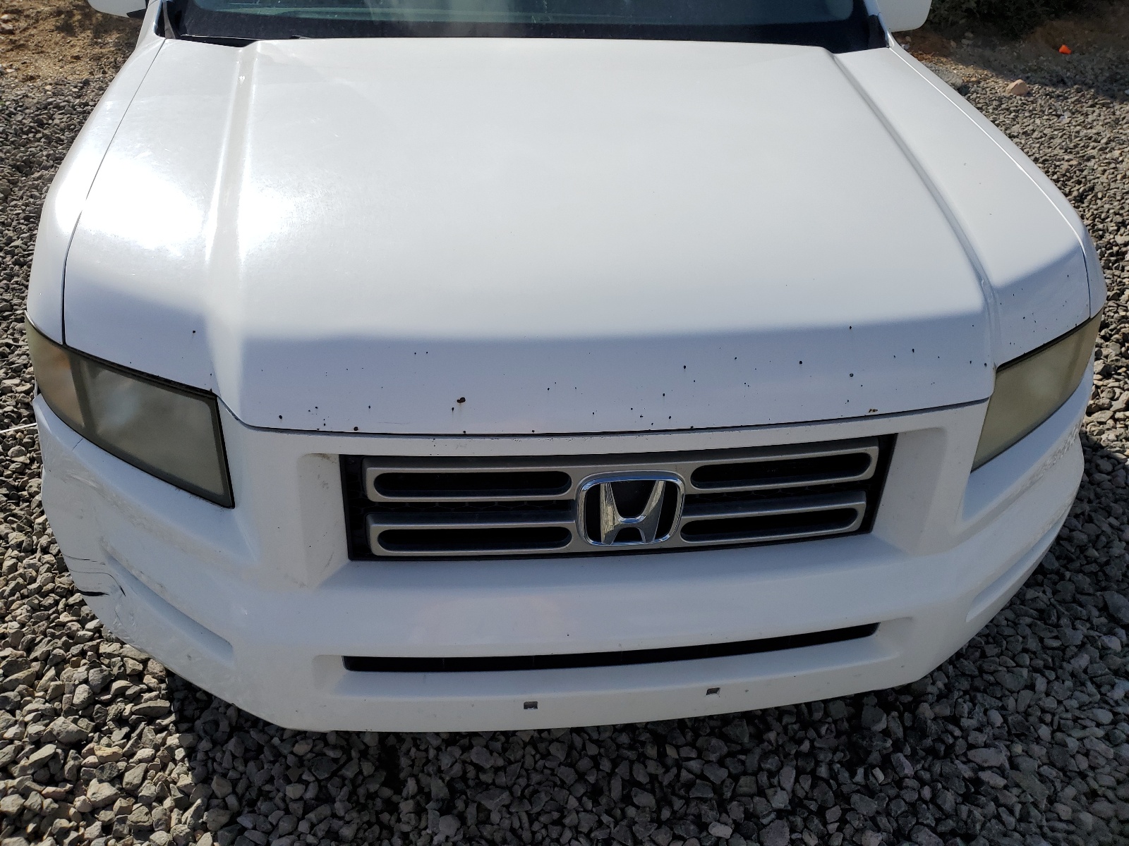 2HJYK165X6H530093 2006 Honda Ridgeline Rtl