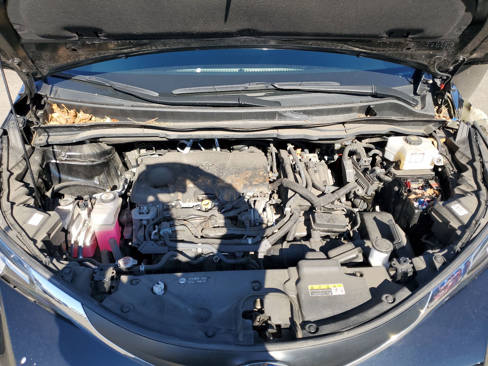 5TDKRKEC8MS004748 2021 Toyota Sienna Le