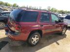 2005 Chevrolet Trailblazer Ls for Sale in Bridgeton, MO - Hail