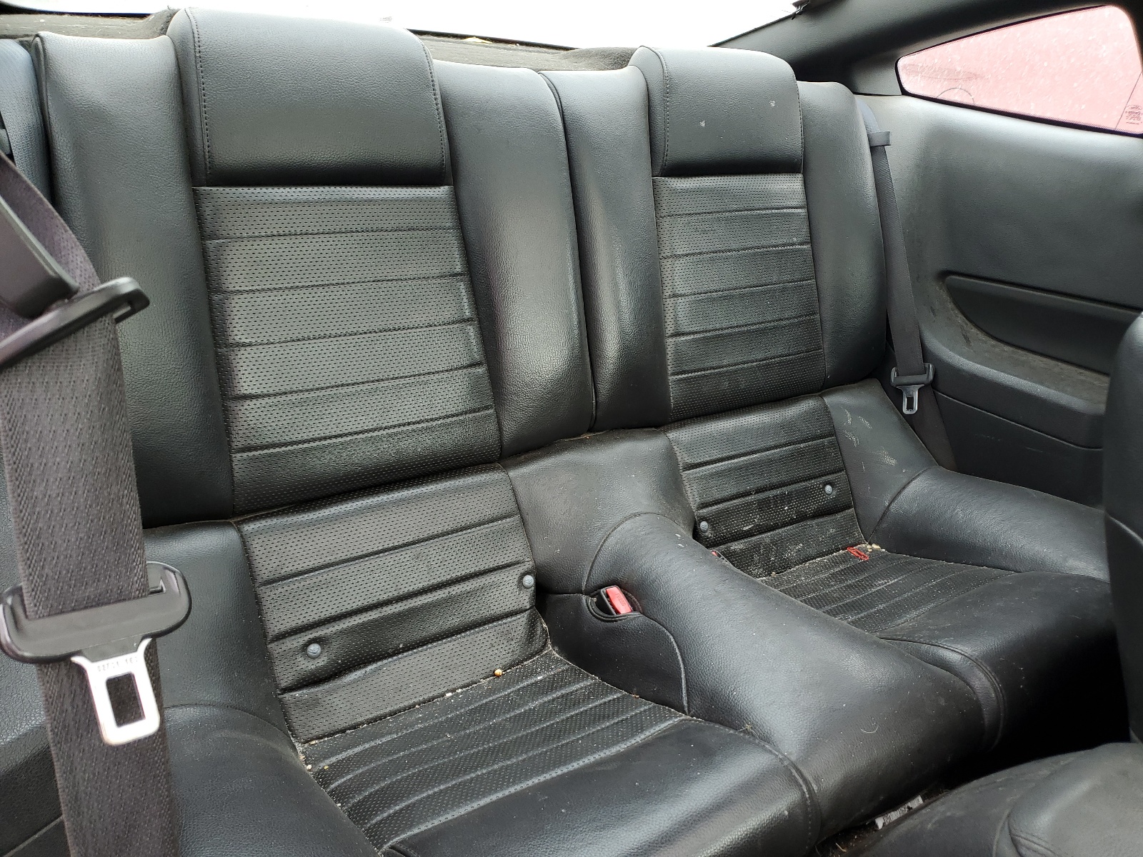 1ZVHT82HX95103161 2009 Ford Mustang Gt