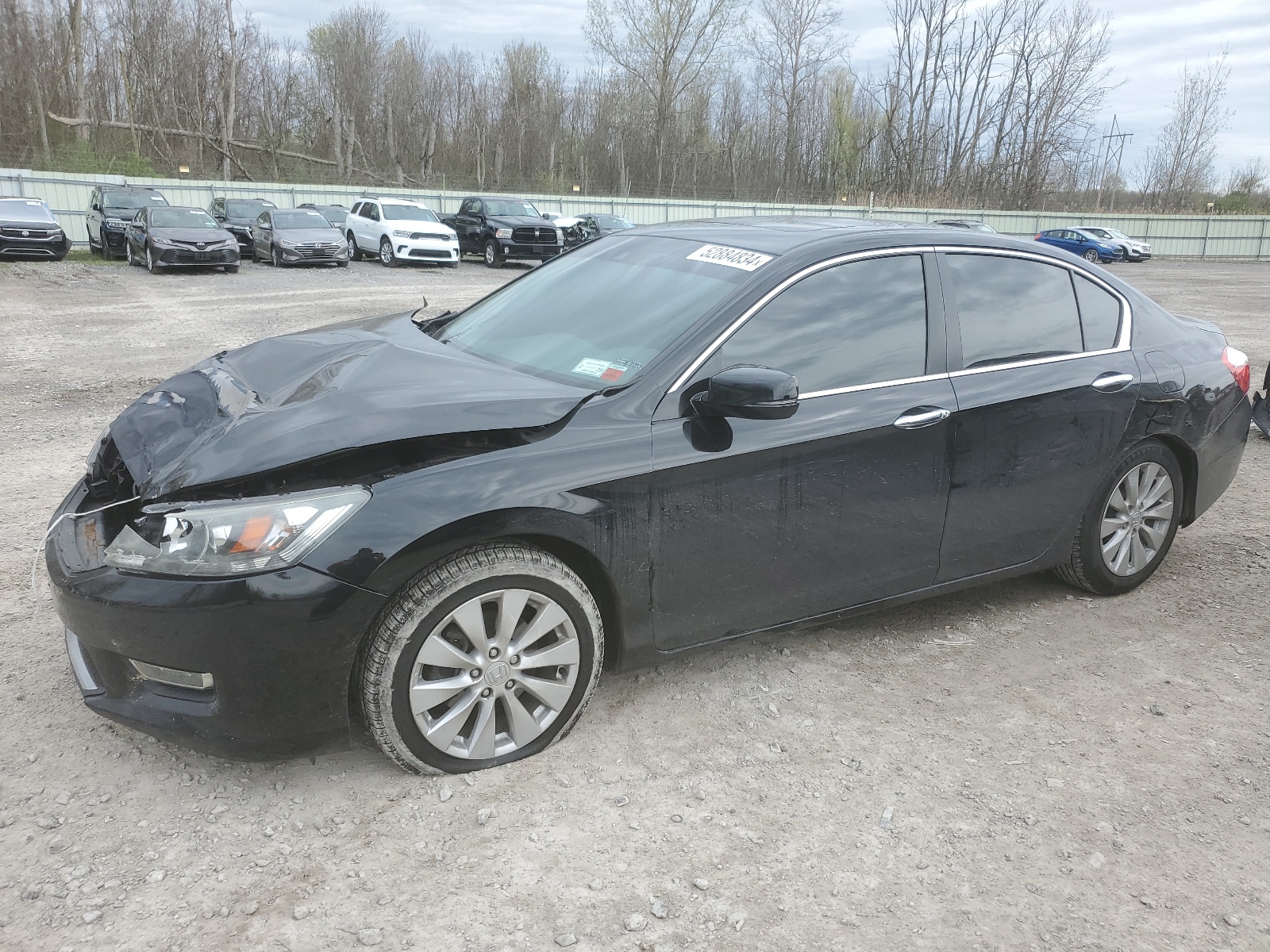 1HGCR2F82DA148681 2013 Honda Accord Exl