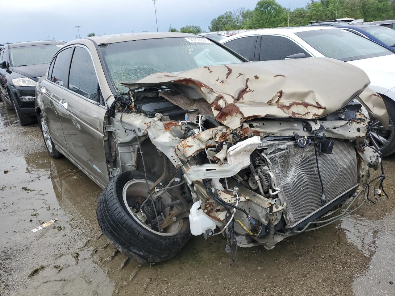 2008 Honda Accord Exl იყიდება Bridgeton-ში, MO - Front End