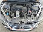 Cahokia Heights, IL에서 판매 중인 2014 Honda Accord Exl - Front End