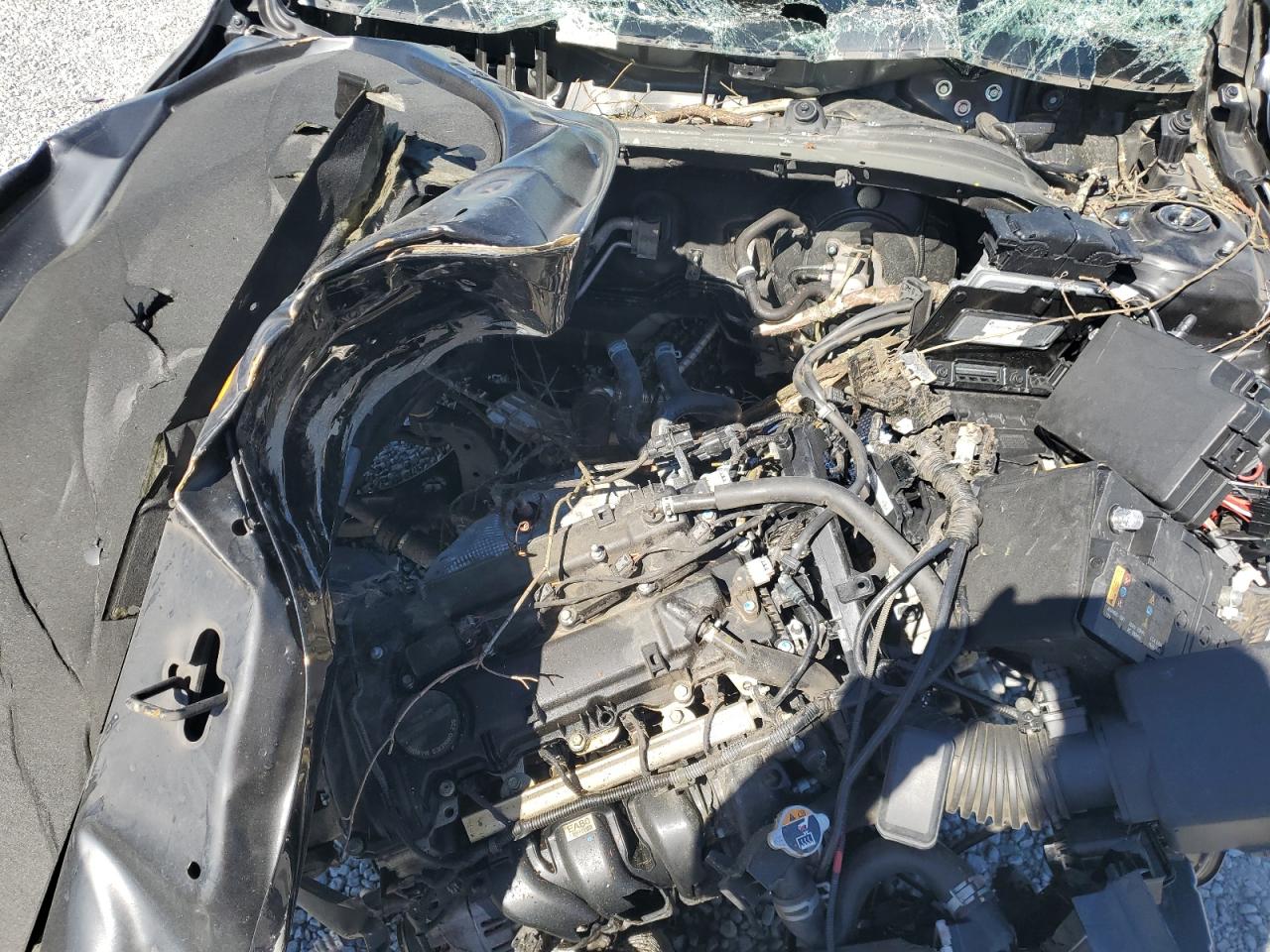 2021 Kia Forte Fe VIN: 3KPF24AD2ME357626 Lot: 49877884