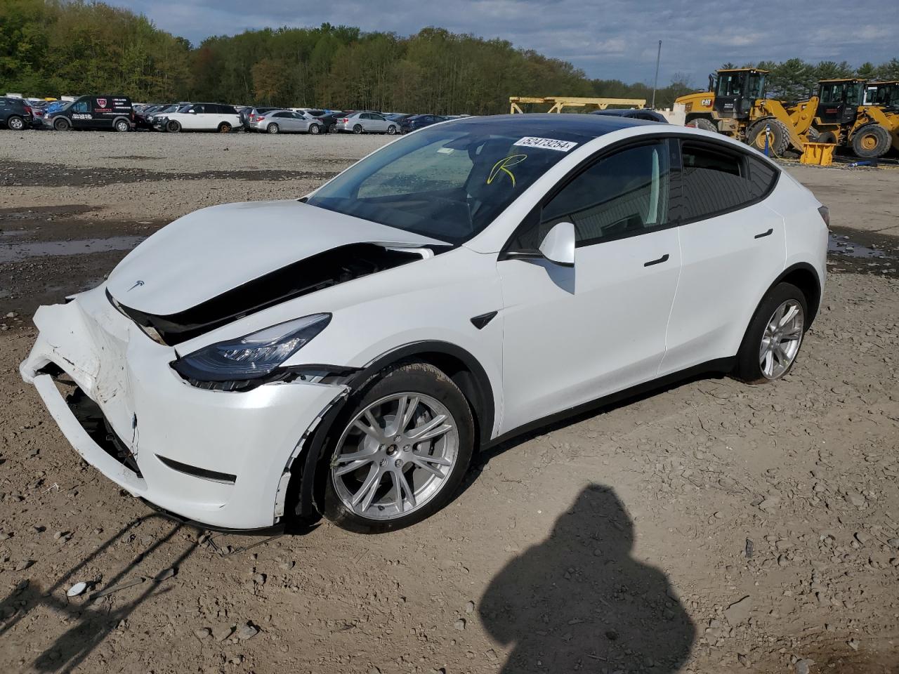 2023 Tesla Model Y VIN: 7SAYGDEE3PA099824 Lot: 52473254