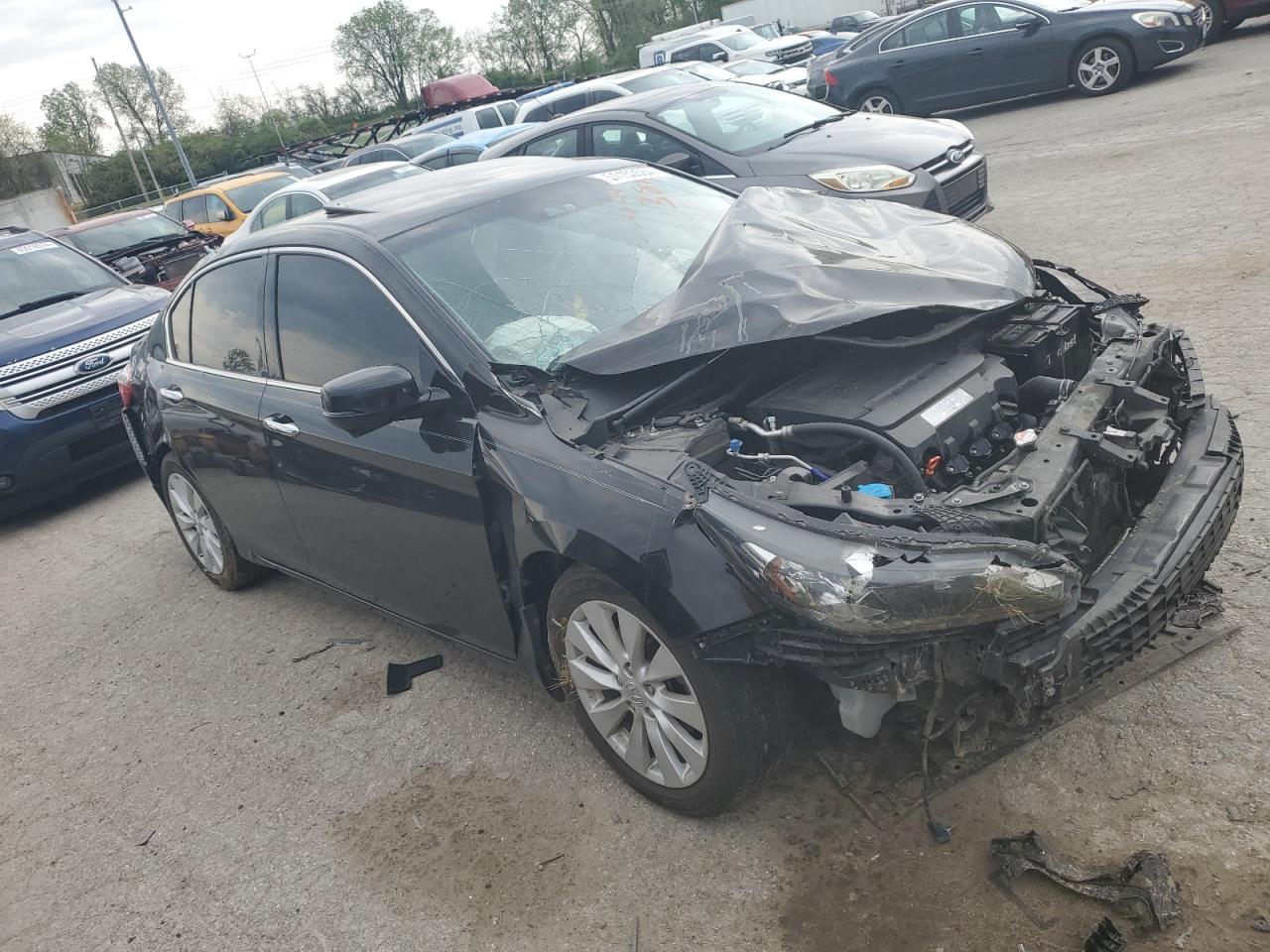 2013 Honda Accord Exl VIN: 1HGCR3F83DA036638 Lot: 51153584