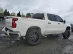 2019 Chevrolet Silverado K1500 Custom na sprzedaż w Eugene, OR - All Over