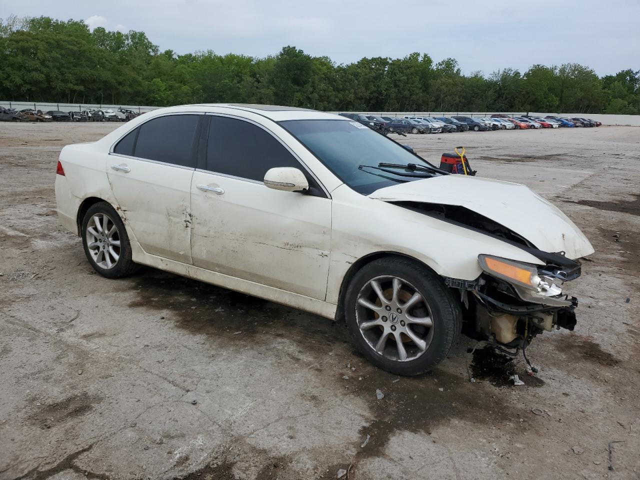 2008 Acura Tsx VIN: JH4CL96858C009081 Lot: 52204084