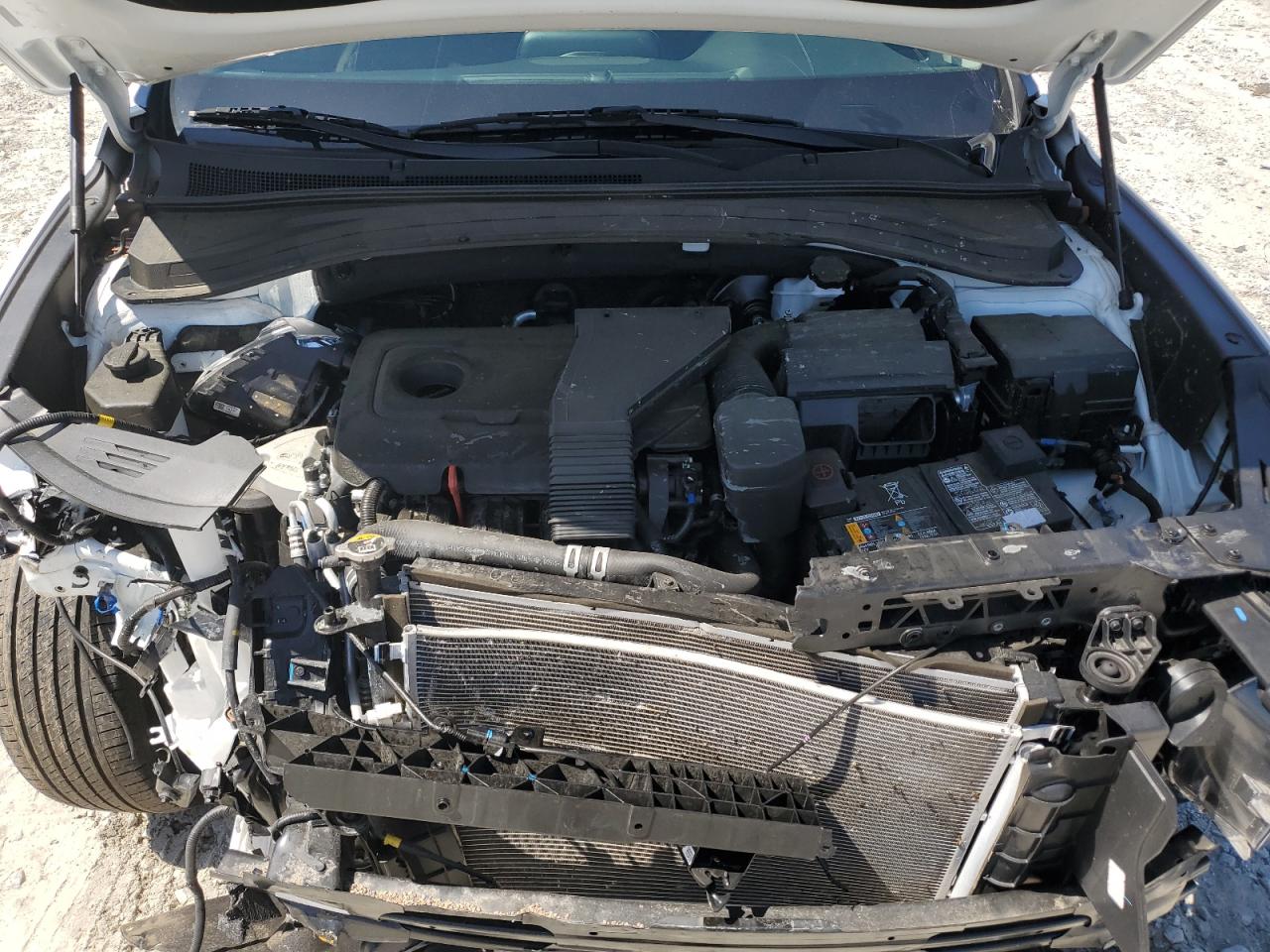 2020 Hyundai Santa Fe Sel VIN: 5NMS33AD9LH212158 Lot: 51870994