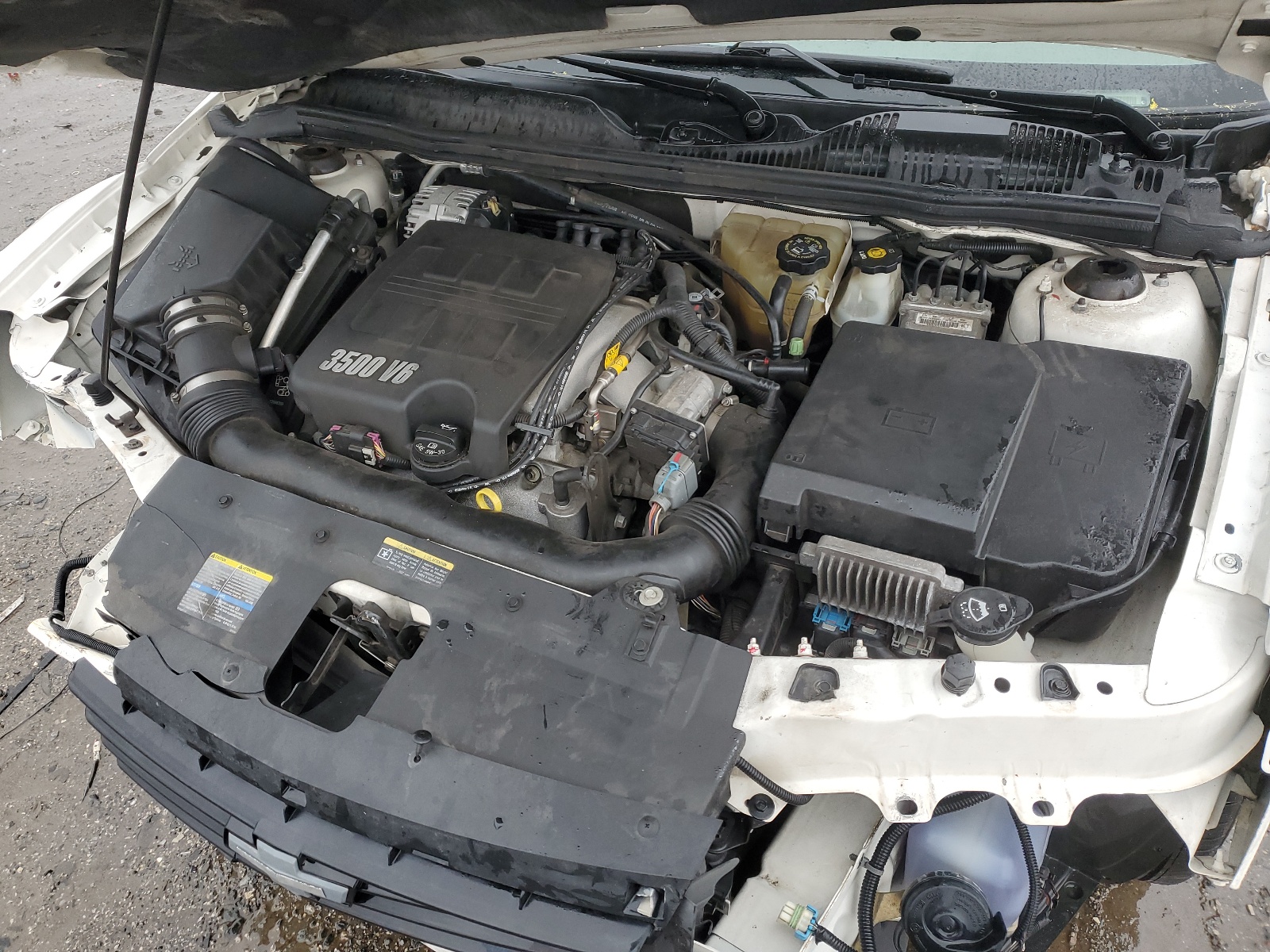 1G1ZT61806F105531 2006 Chevrolet Malibu Maxx Lt