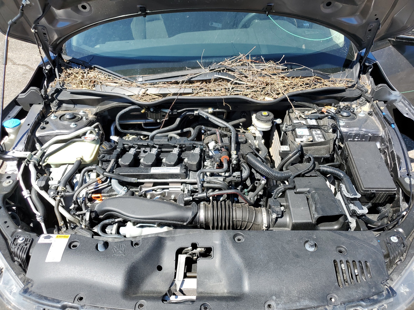 JHMFC1F33KX008854 2019 Honda Civic Ex