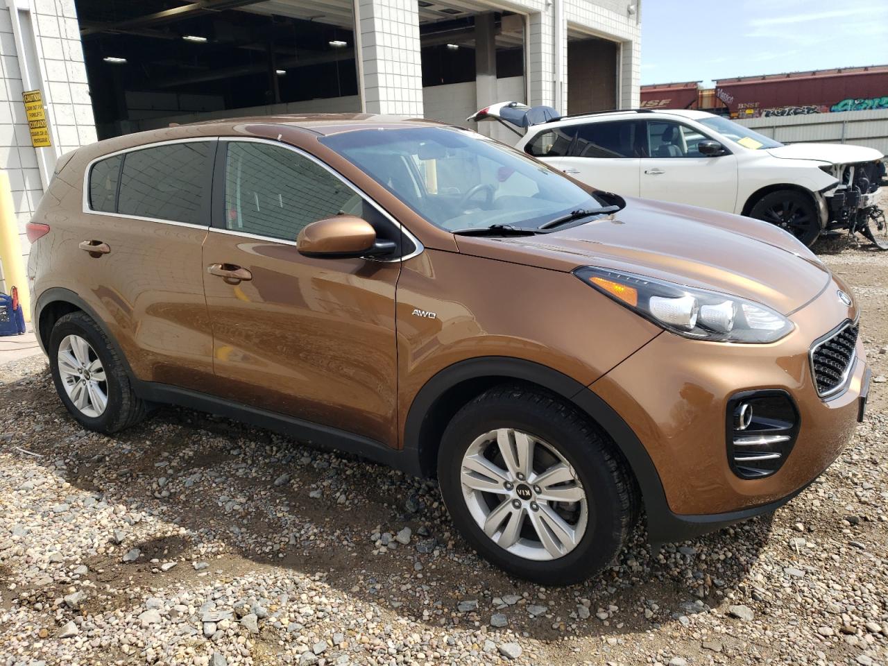 2019 Kia Sportage Lx VIN: KNDPMCAC2K7517646 Lot: 53081284