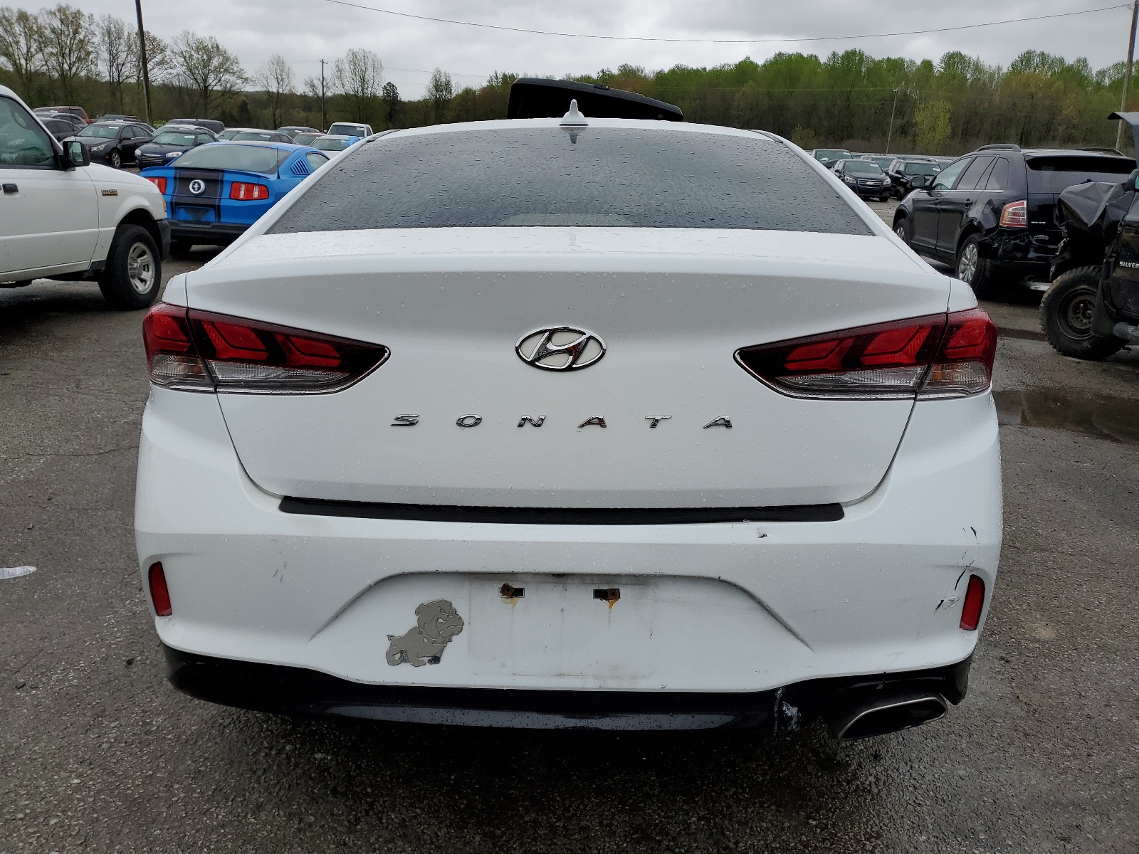 5NPE34AF5JH636165 2018 Hyundai Sonata Sport