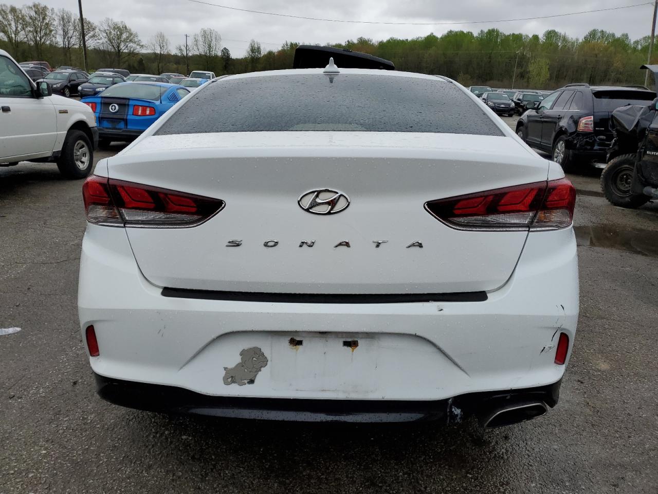 2018 Hyundai Sonata Sport VIN: 5NPE34AF5JH636165 Lot: 50457464