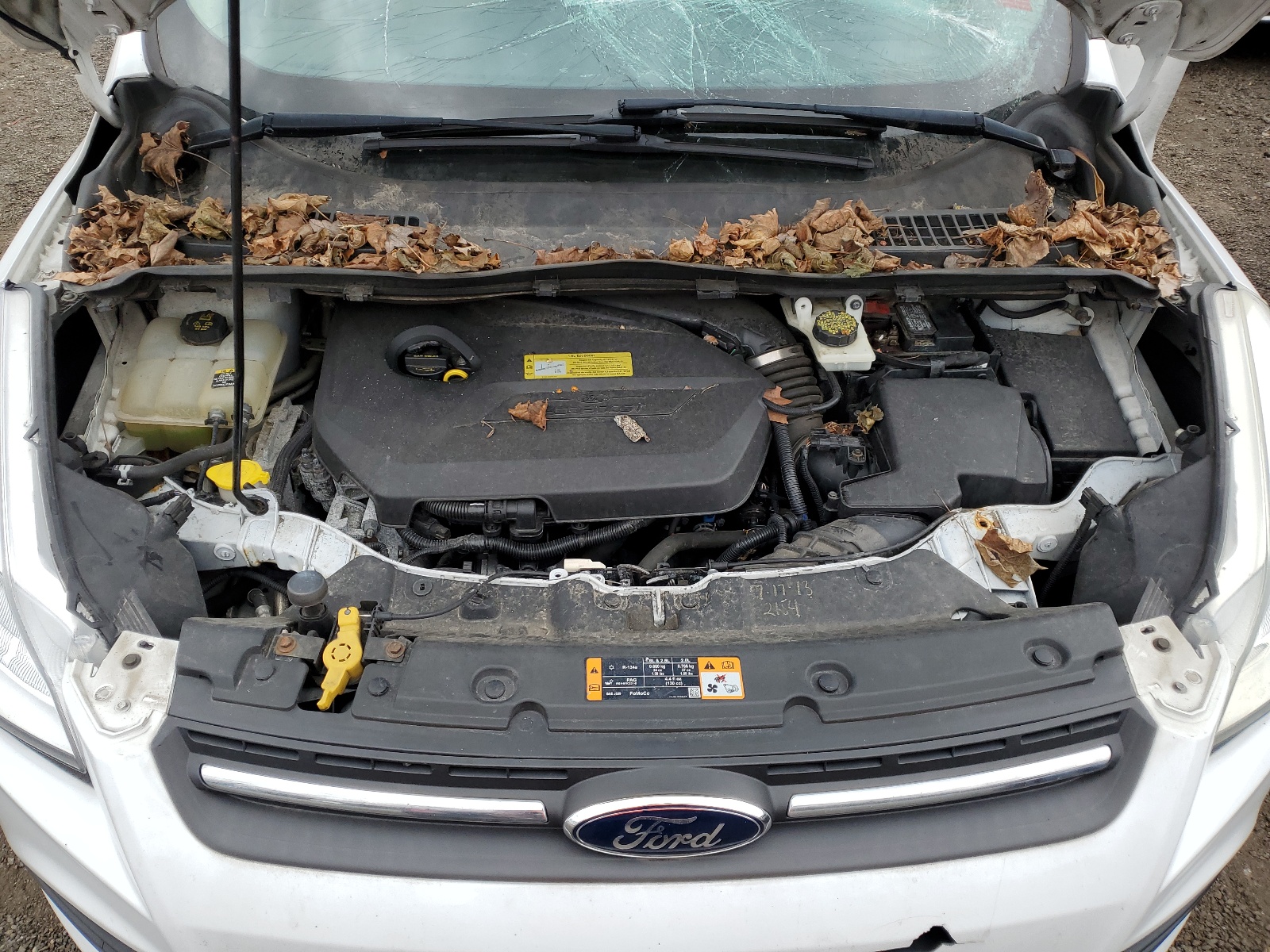 2013 Ford Escape Se vin: 1FMCU0GX0DUD22457