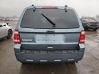 2011 FORD ESCAPE XLT for sale at Copart ON - TORONTO