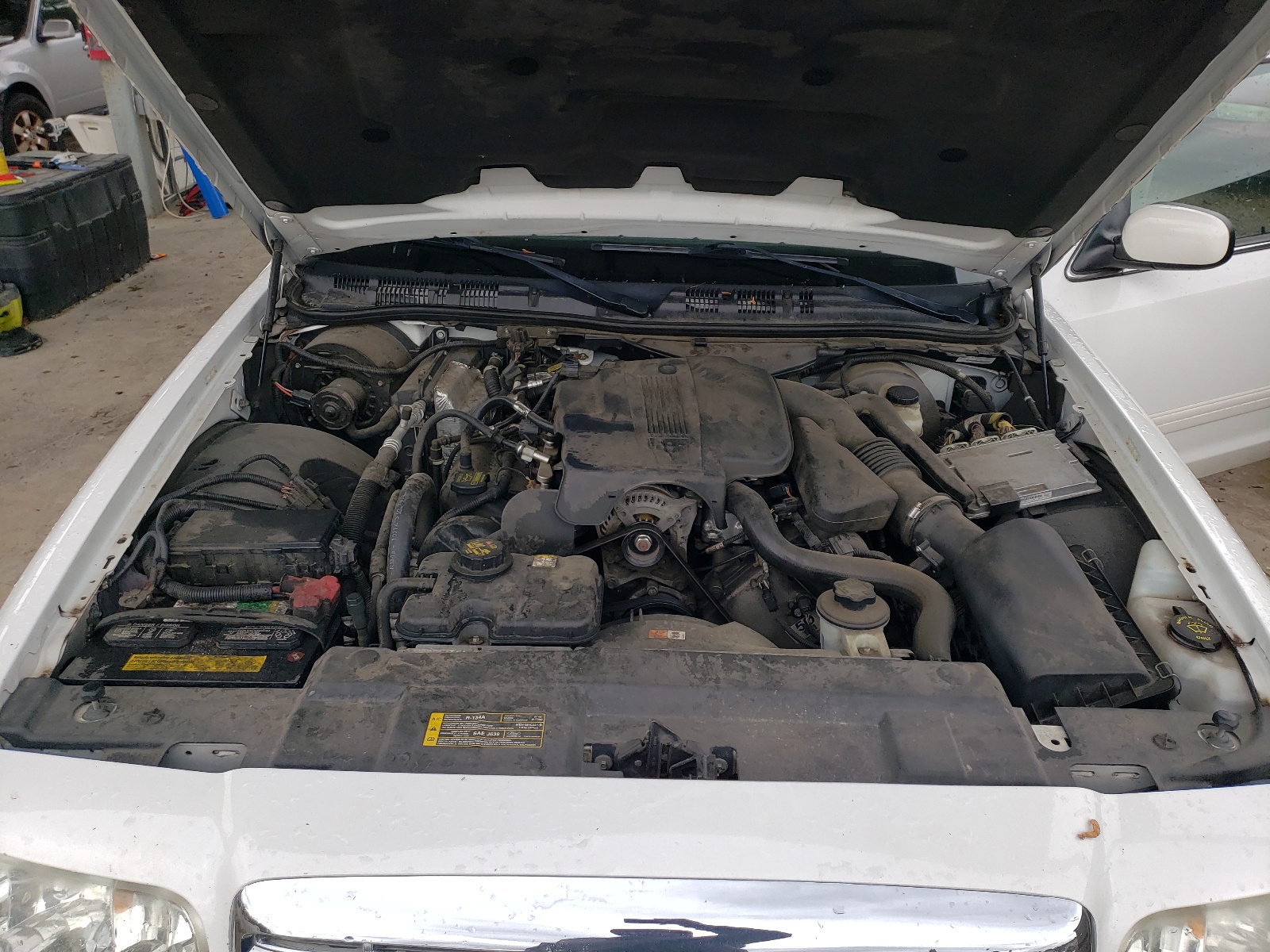 2FABP7EV6BX160590 2011 Ford Crown Victoria Lx