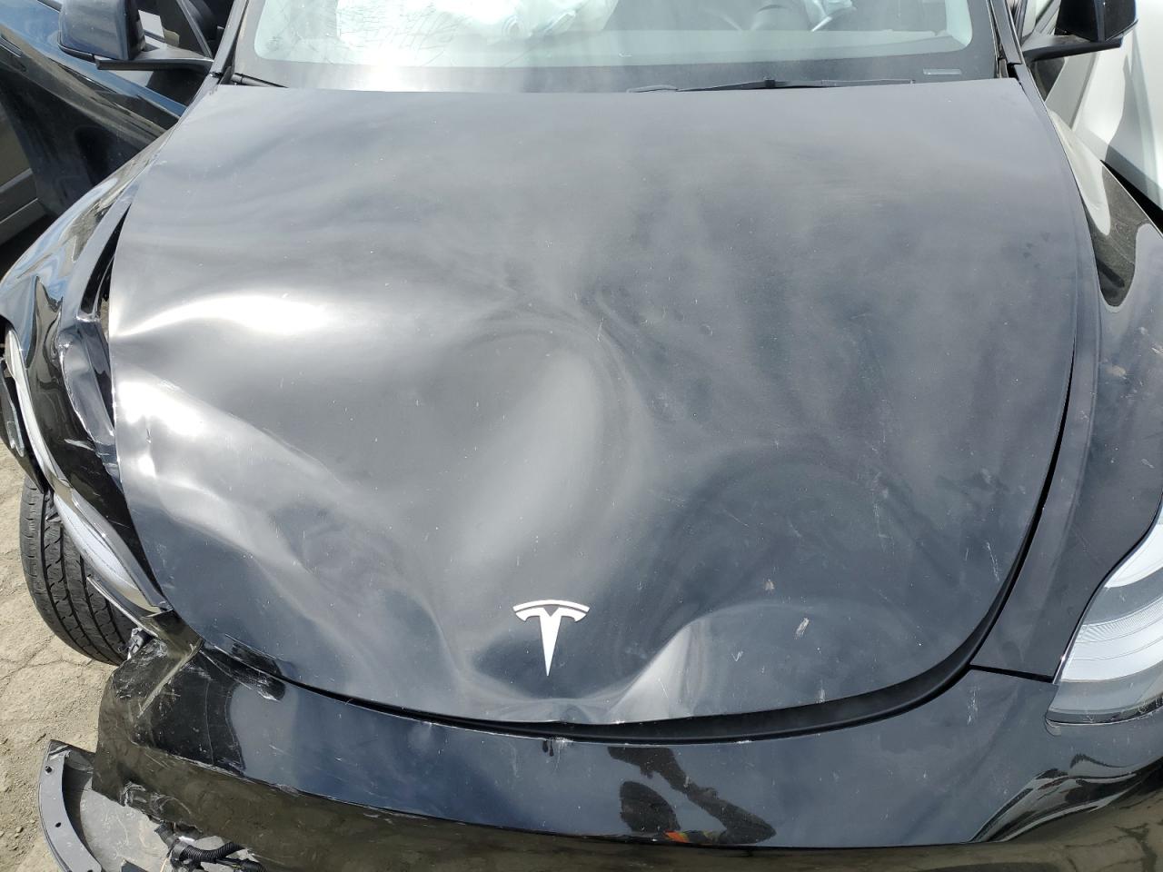 2022 Tesla Model Y VIN: 7SAYGDEEXNF444203 Lot: 51107134