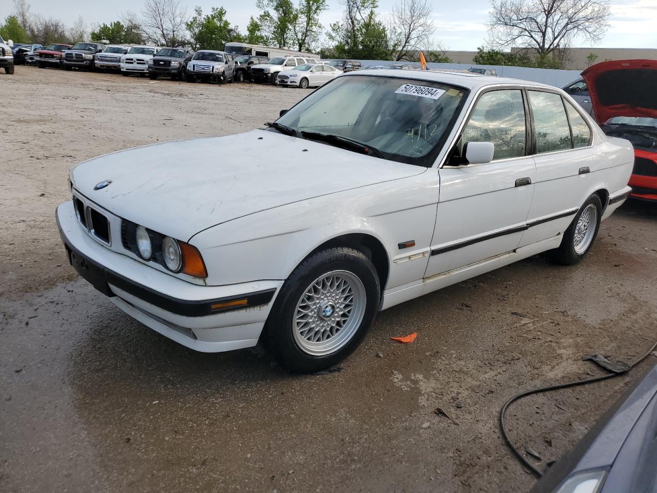 1995 BMW 525 I Automatic VIN: WBAHD6328SGK51427 Lot: 50796094