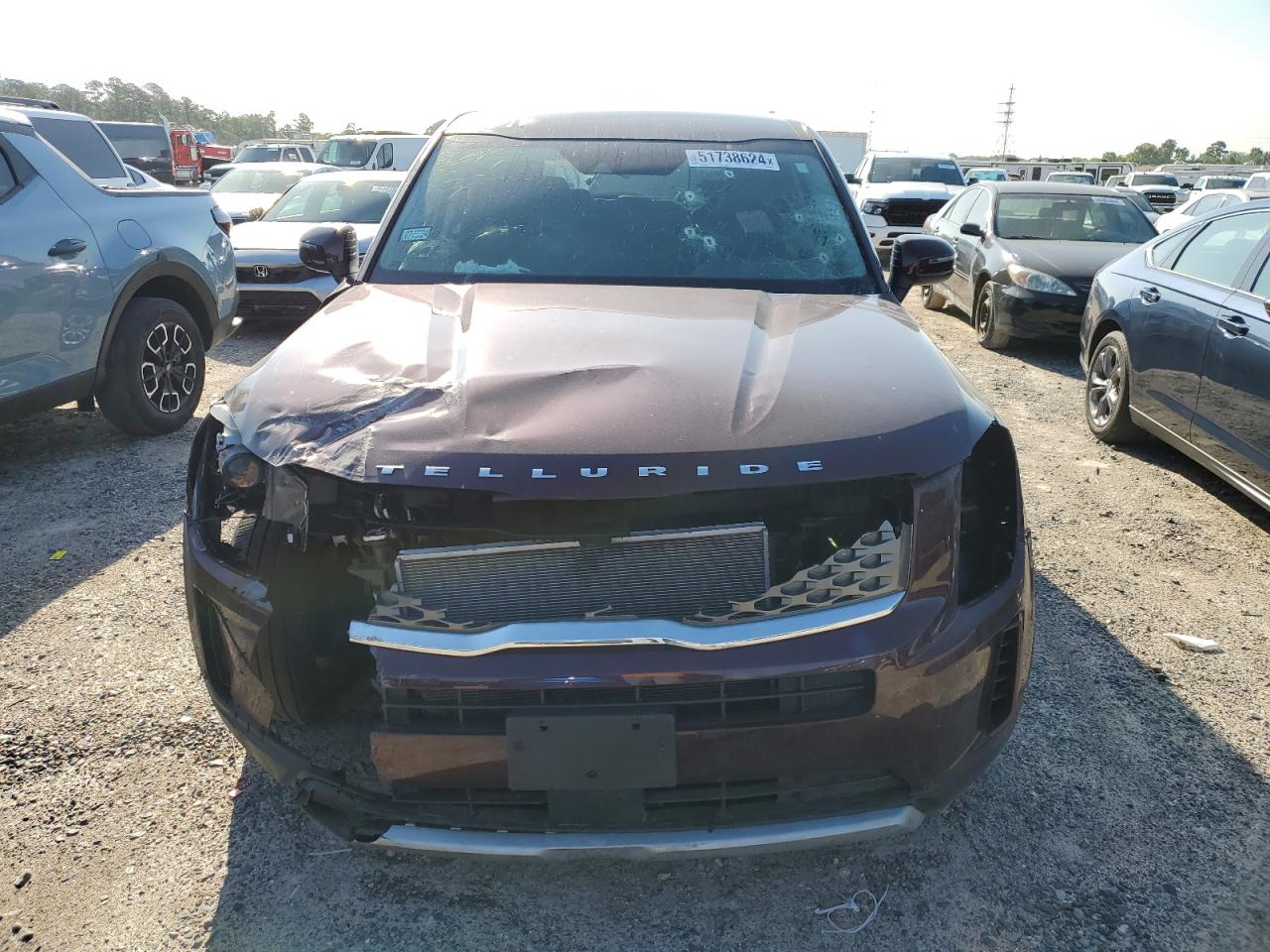 2020 Kia Telluride Lx VIN: 5XYP24HC1LG024479 Lot: 51738624