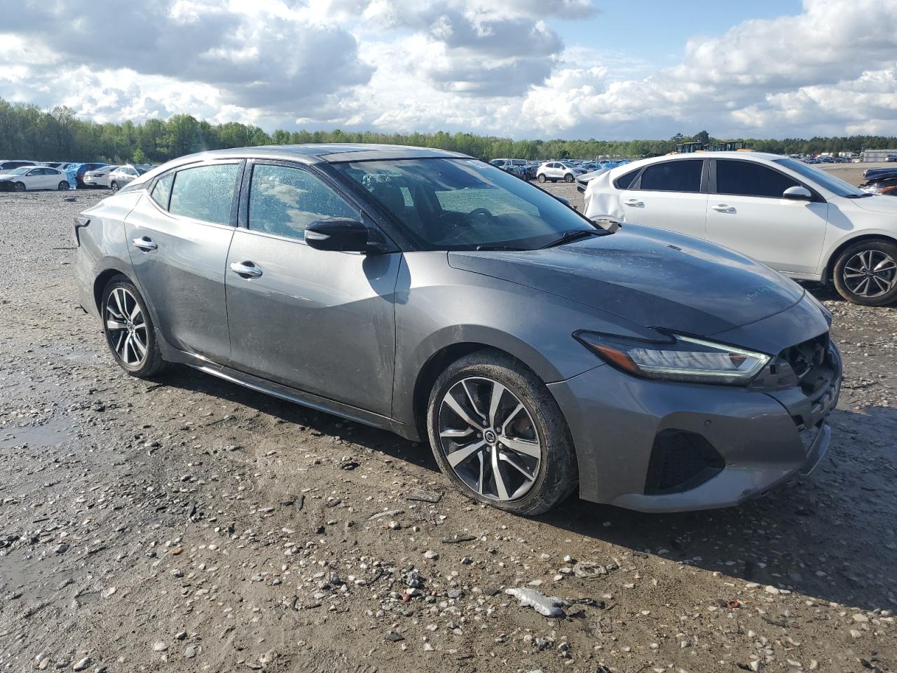 2020 Nissan Maxima Sl VIN: 1N4AA6DV7LC371787 Lot: 49903424