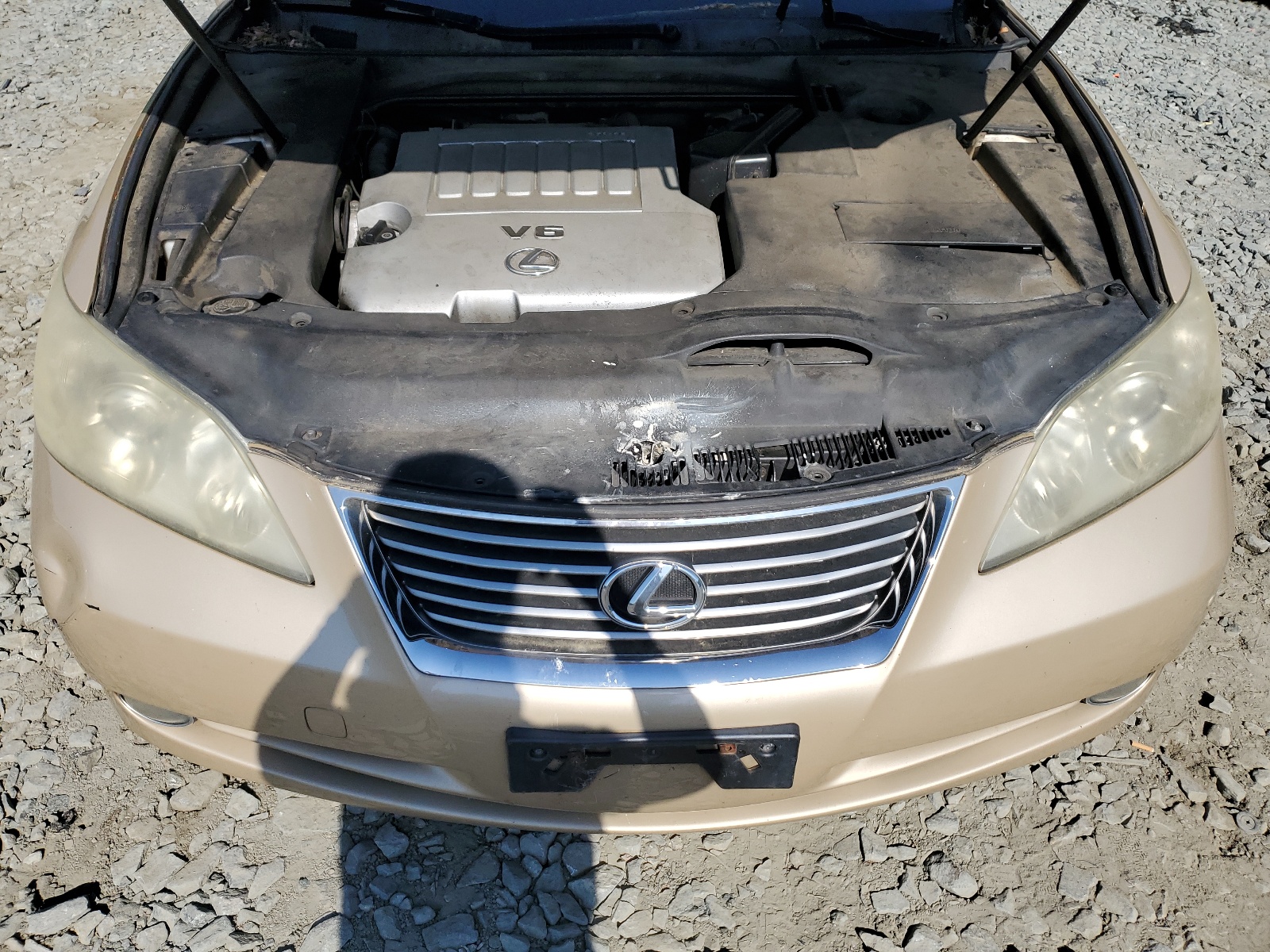 JTHBJ46G582240550 2008 Lexus Es 350