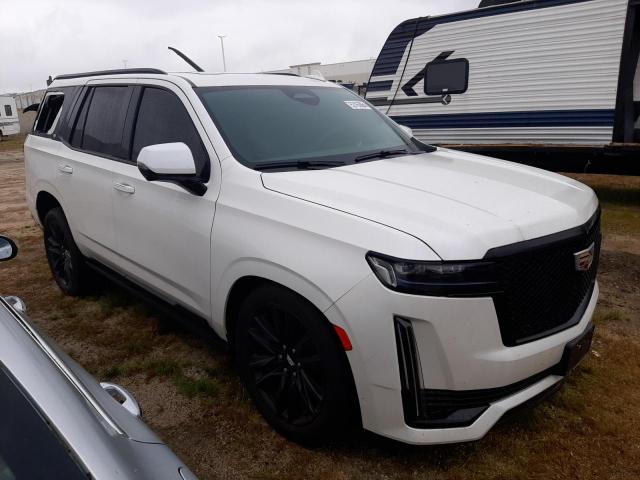  CADILLAC ESCALADE 2021 Белый