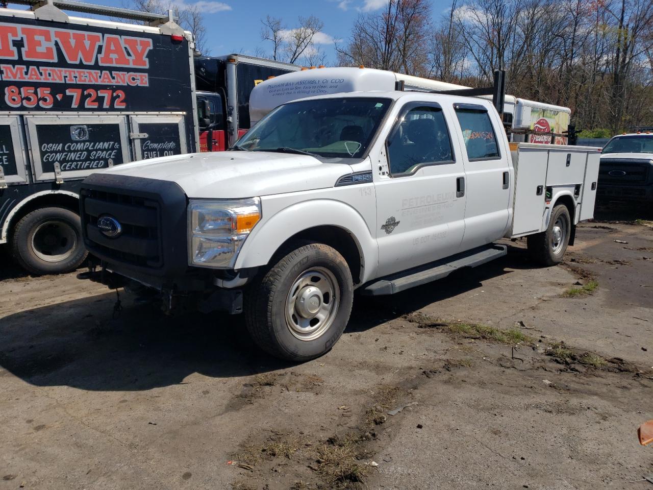 2014 Ford F350 Super Duty VIN: 1FT8W3AT6EEA19464 Lot: 51235494