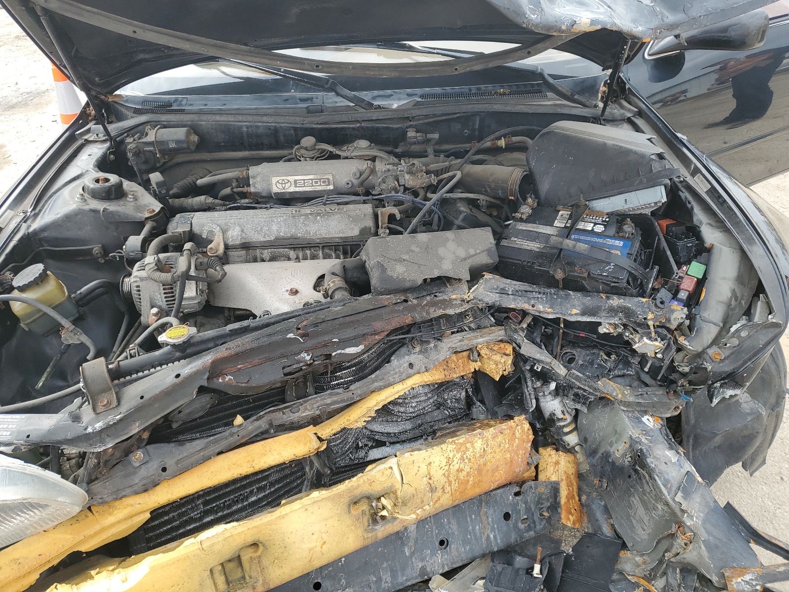 4T1SK12E4SU871976 1995 Toyota Camry Le