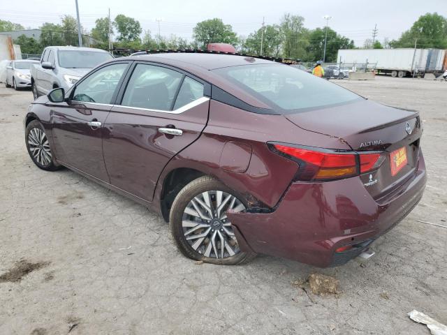  NISSAN ALTIMA 2024 Burgundy