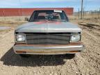 1984 Chevrolet S Truck S10 en Venta en Rapid City, SD - Rear End