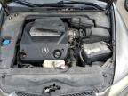 2008 Acura Tl  en Venta en Cahokia Heights, IL - Hail