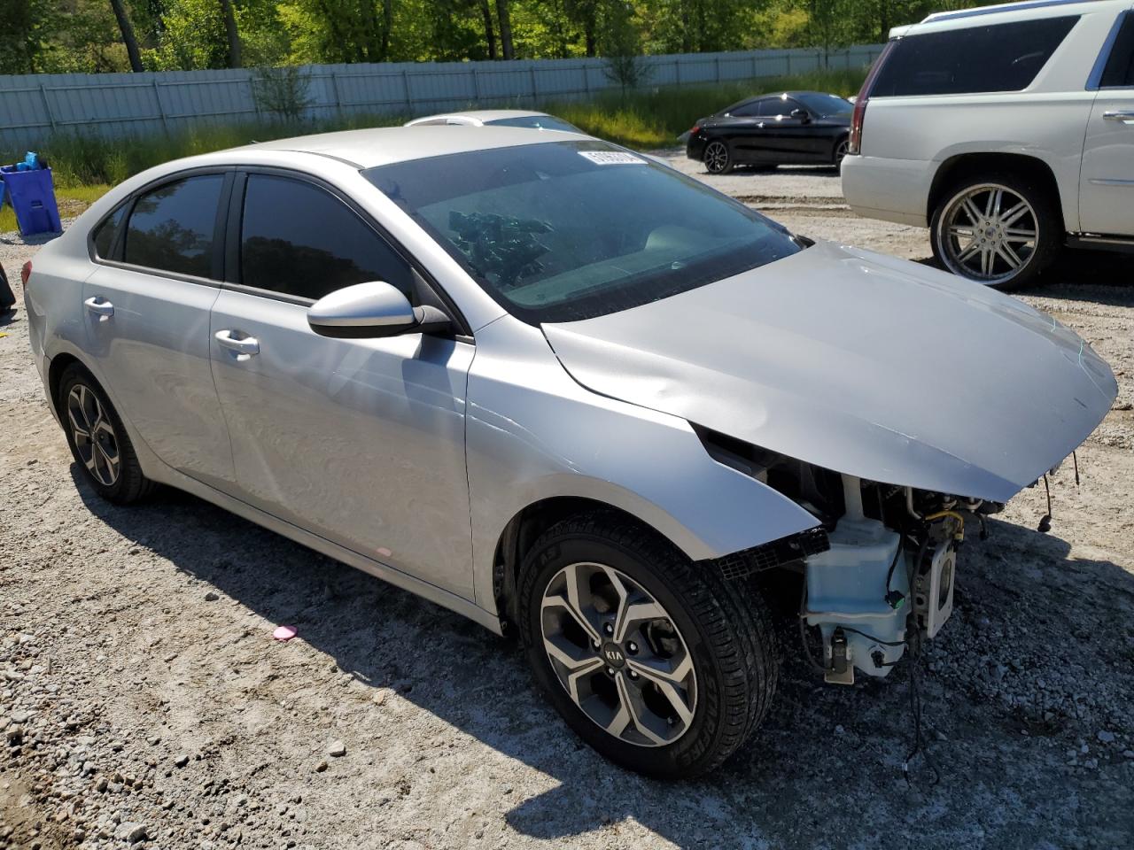 2019 Kia Forte Fe VIN: 3KPF24ADXKE081516 Lot: 51963704