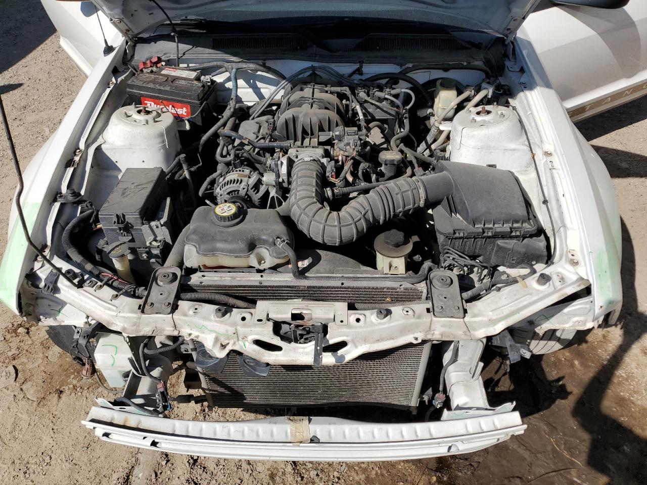 2009 Ford Mustang VIN: 1ZVHT84N895135884 Lot: 49641564