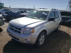 2009 Ford Escape Hybrid de vânzare în Dyer, IN - Normal Wear