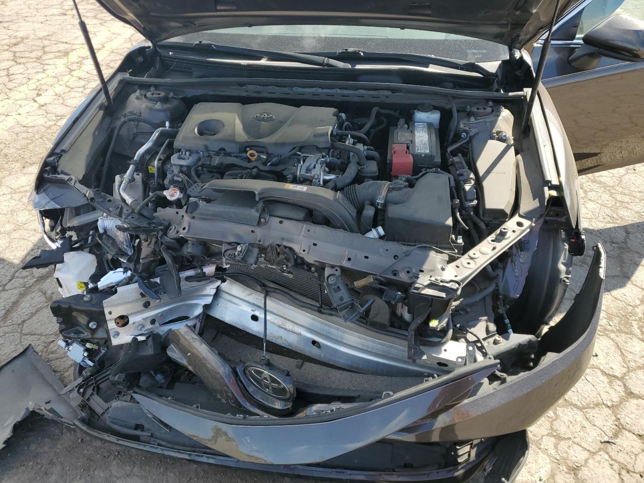 4T1B11HK0KU251836 2019 Toyota Camry L