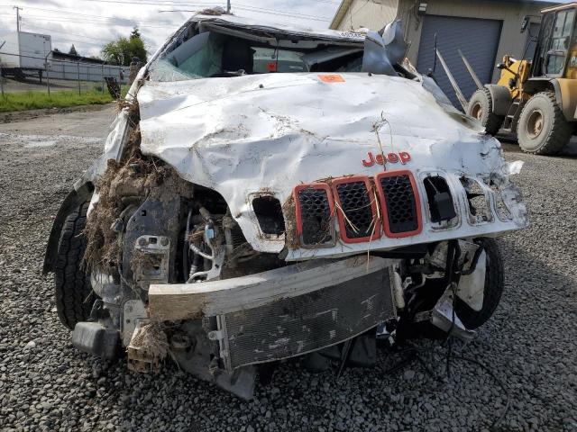  JEEP GRAND CHER 2019 Білий