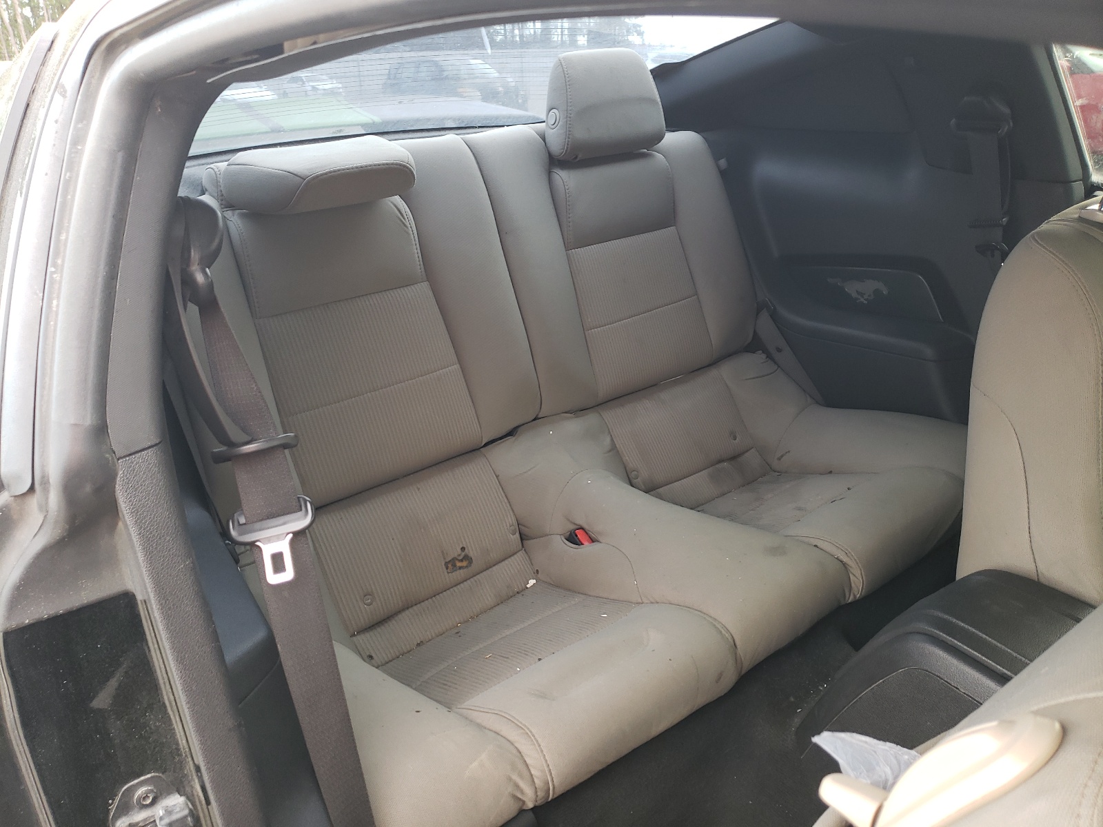 1ZVBP8AM7C5258279 2012 Ford Mustang