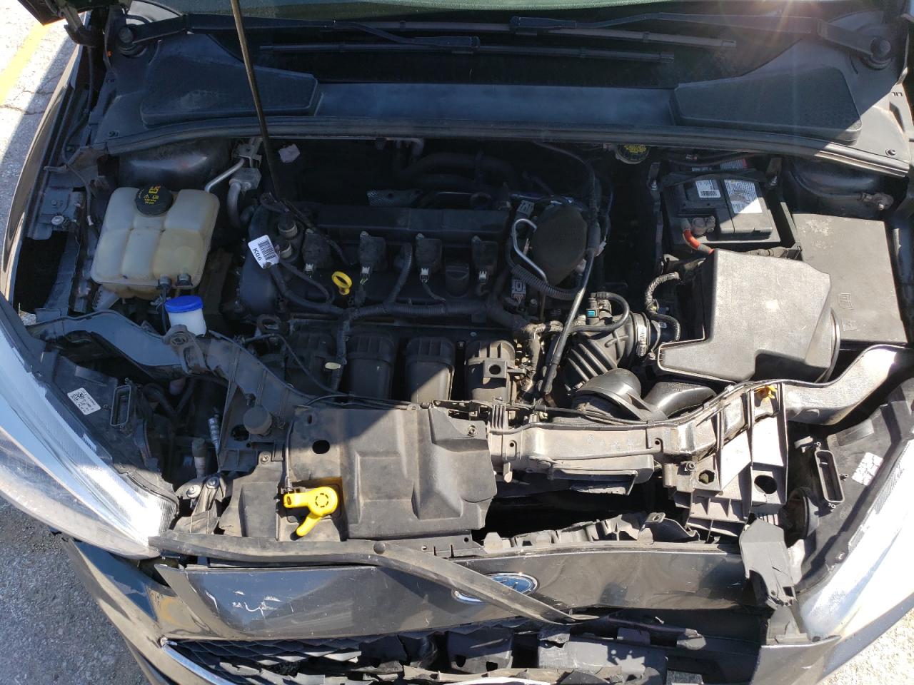 2016 Ford Focus Se VIN: 1FADP3F28GL288906 Lot: 53110364