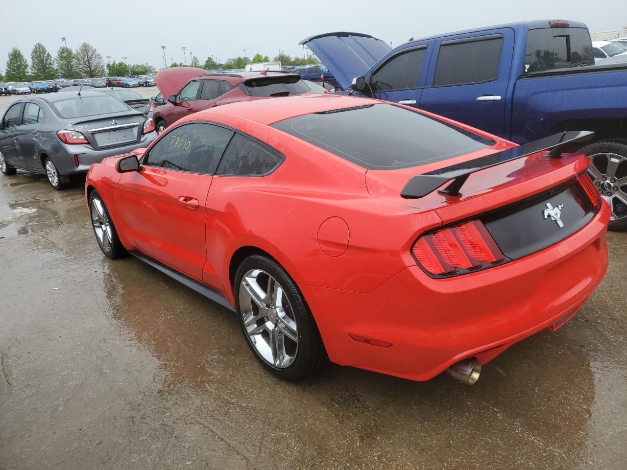 1FA6P8AM5H5250229 2017 Ford Mustang