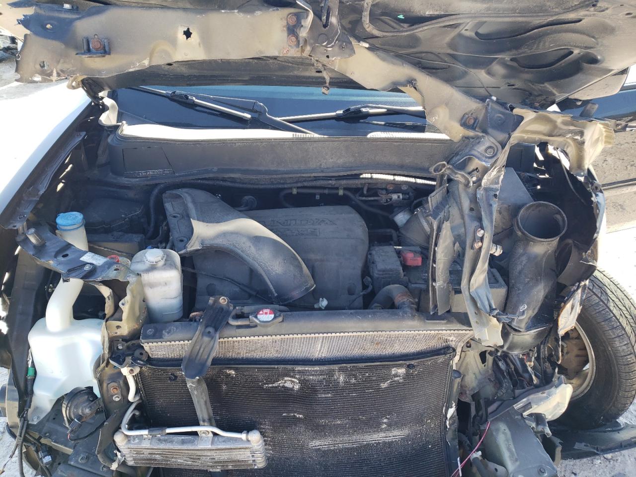 2014 Honda Pilot Exl VIN: 5FNYF4H58EB044751 Lot: 50766424