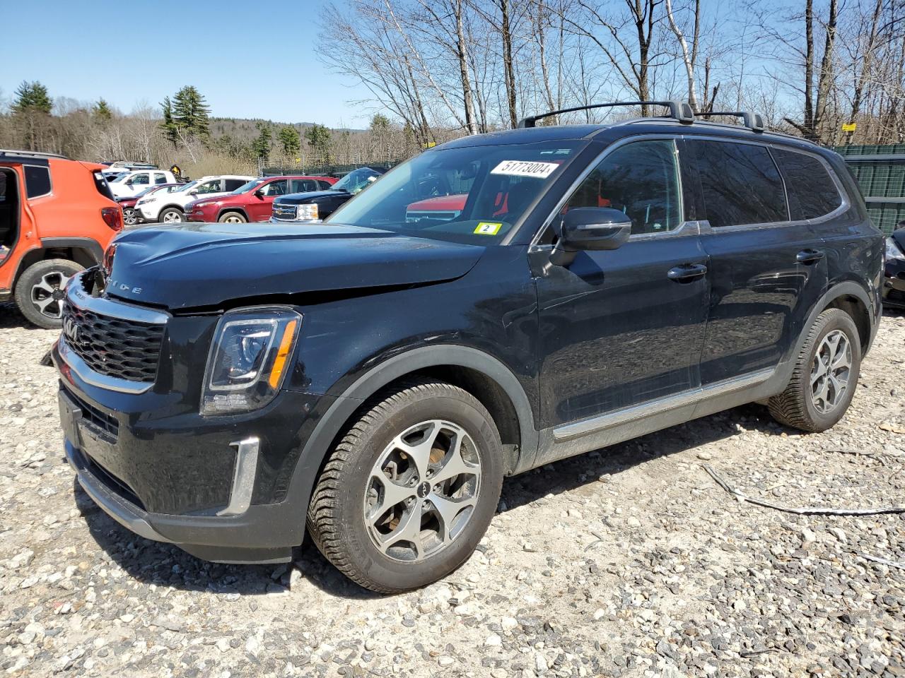 2022 Kia Telluride Ex VIN: 5XYP3DHC7NG229899 Lot: 51773004