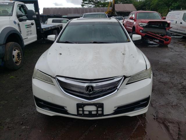  ACURA TLX 2016 Белый