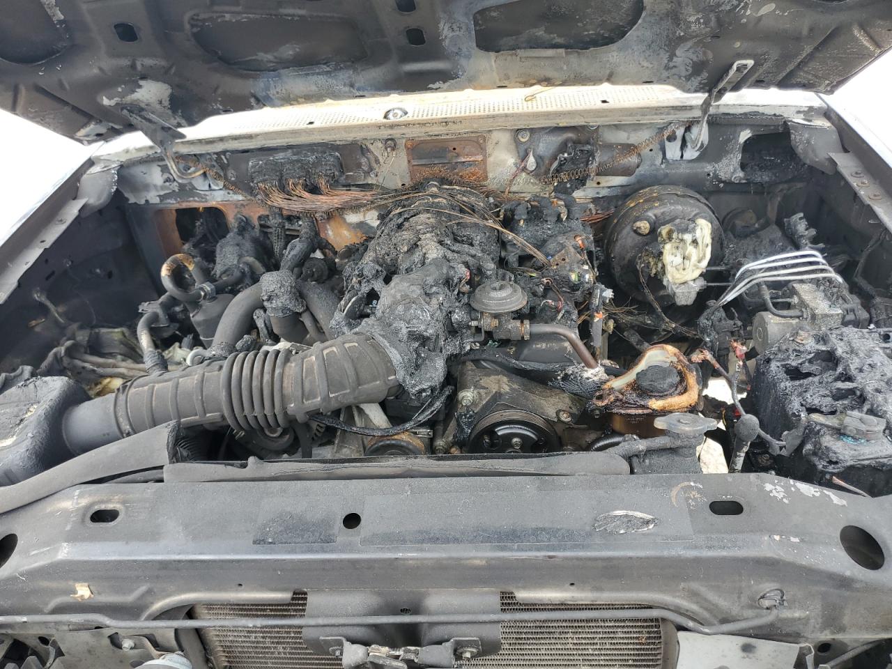 2011 Ford Ranger Super Cab VIN: 1FTKR4EE8BPA71483 Lot: 50338764